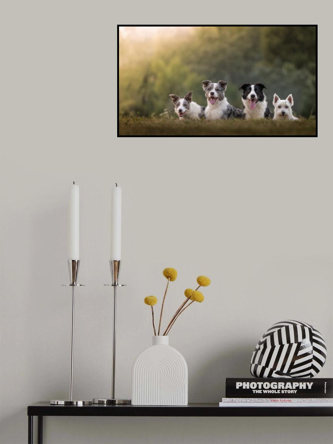 The Pack Poster och Canvastavla