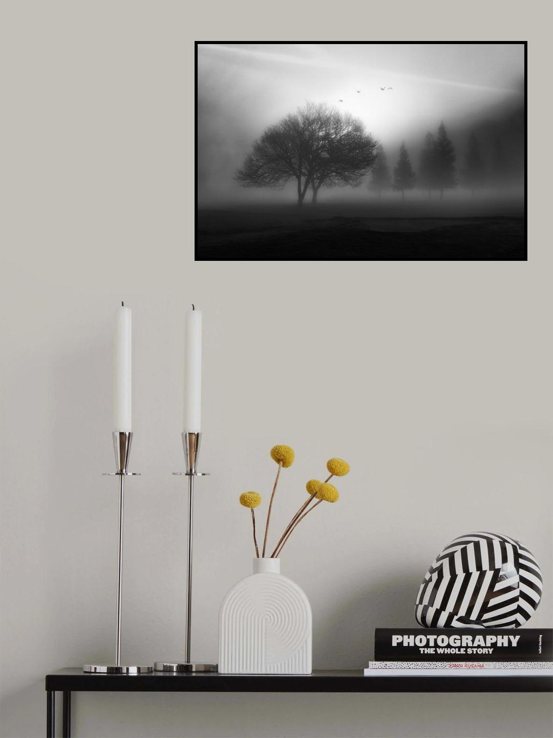 Awakening Poster och Canvastavla