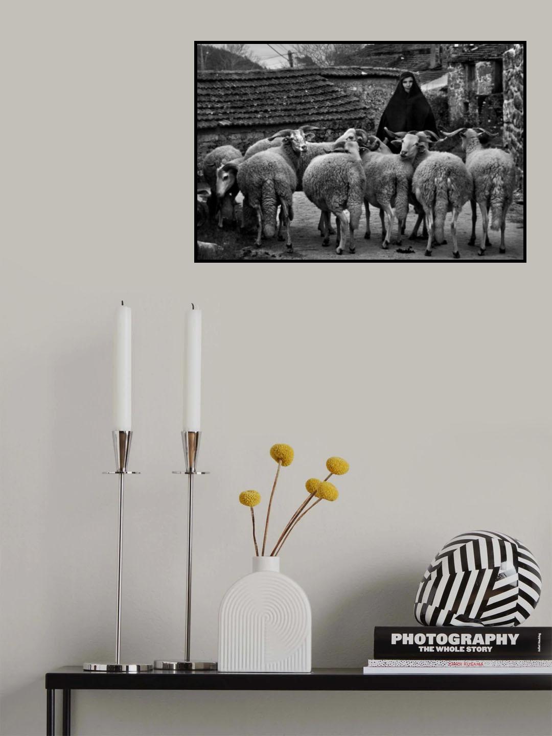 The Living Past Poster och Canvastavla