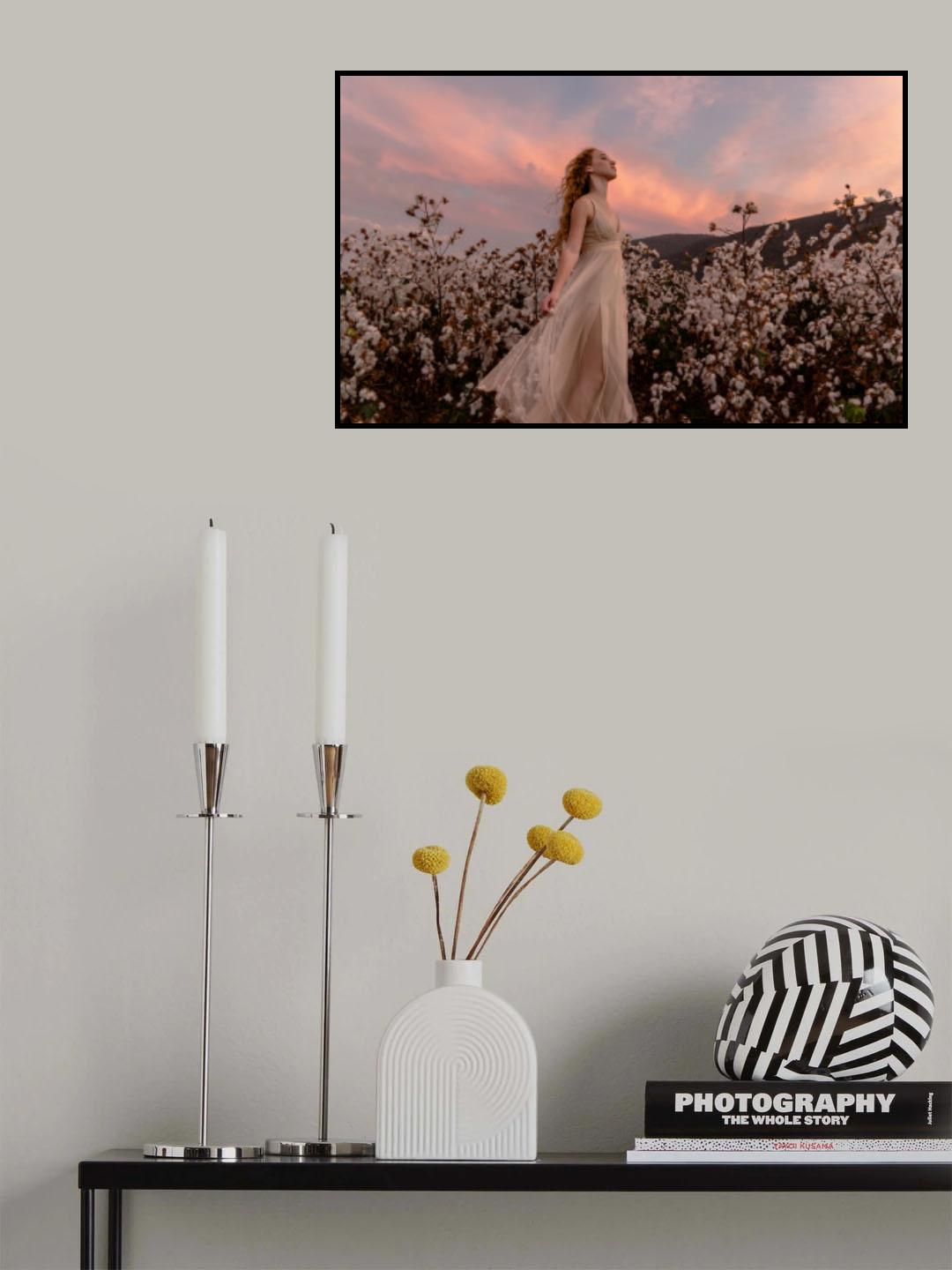 Sunset in the cotton field Poster och Canvastavla