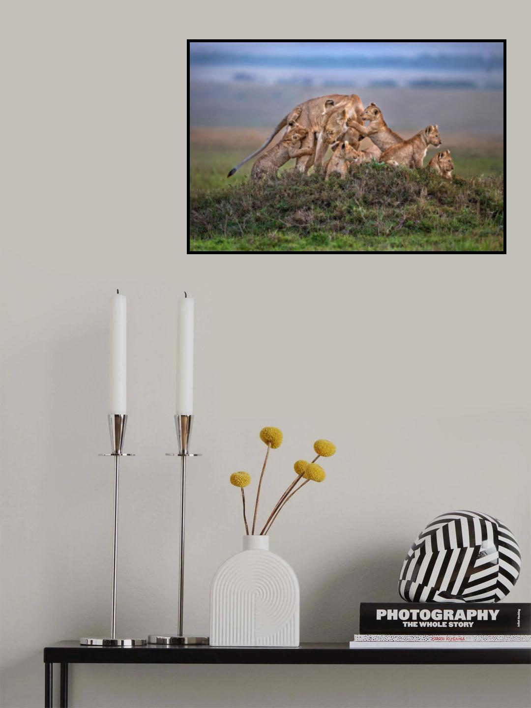 Lioness with the cubs of the pride Poster och Canvastavla