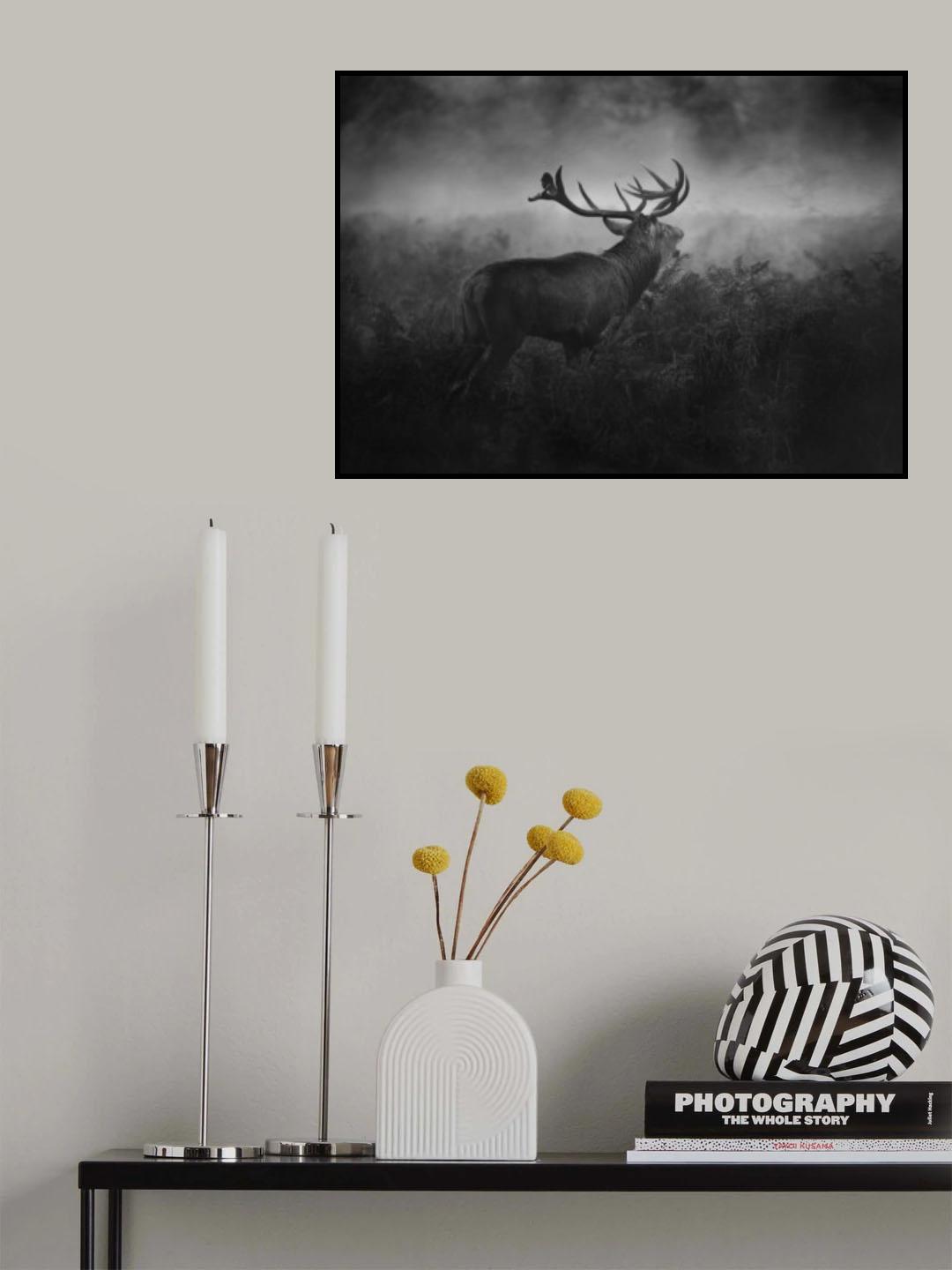 The Dark Side of the Woods... Poster och Canvastavla
