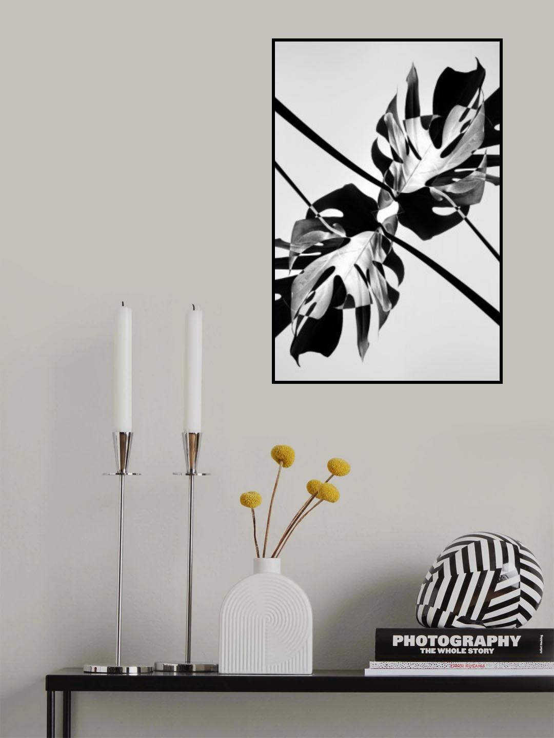 B&w Leaf Monstera Poster och Canvastavla