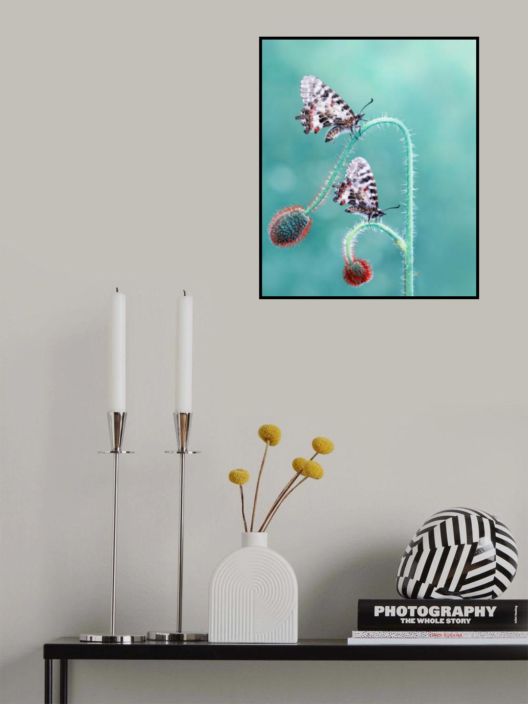 Friends Poster och Canvastavla