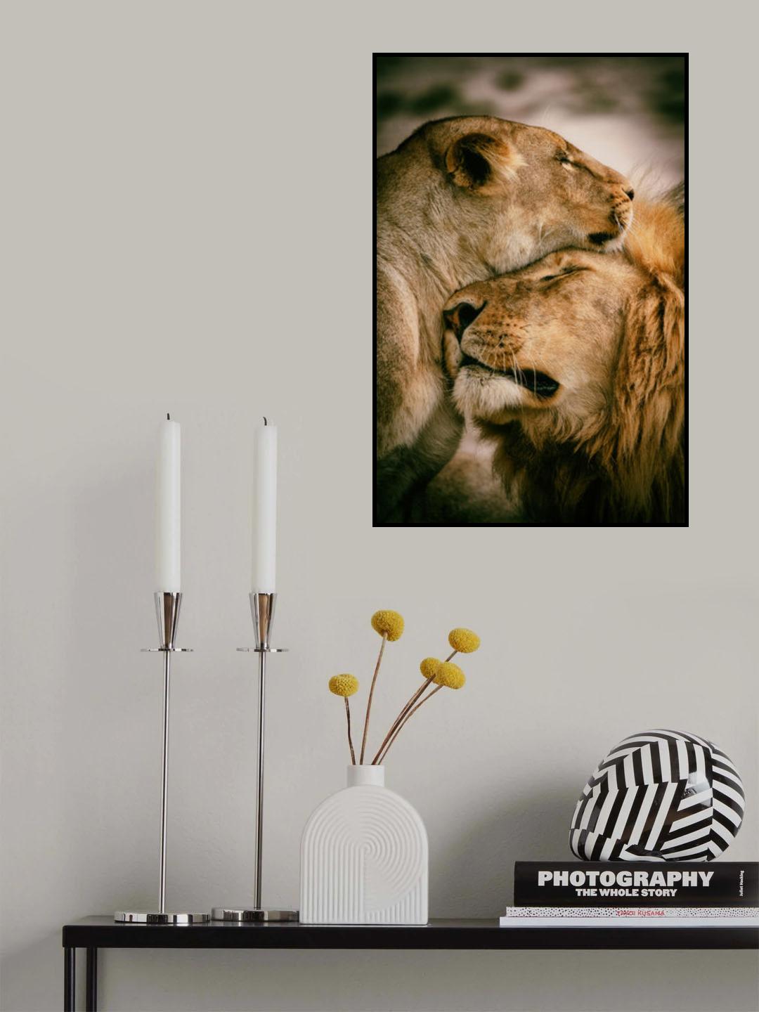 What is love Poster och Canvastavla