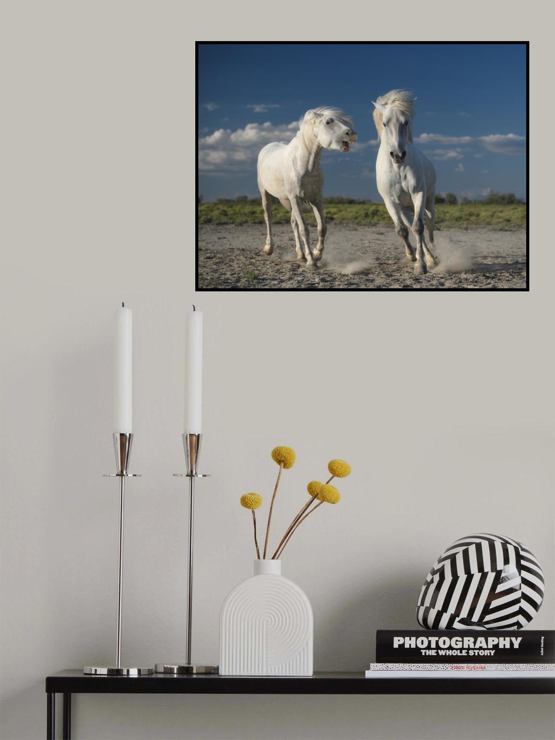 White horses Poster och Canvastavla