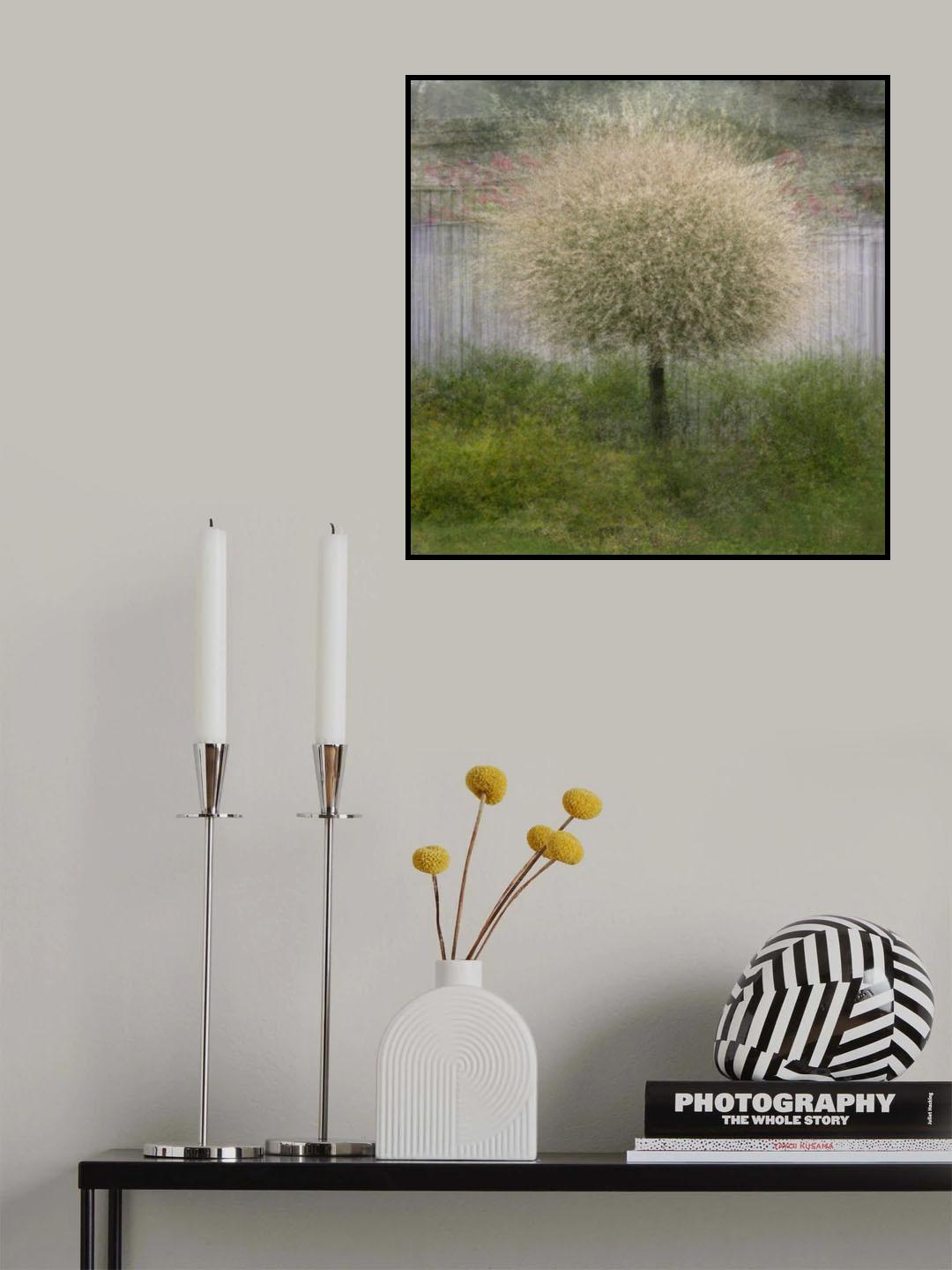 In front of the fence Poster och Canvastavla