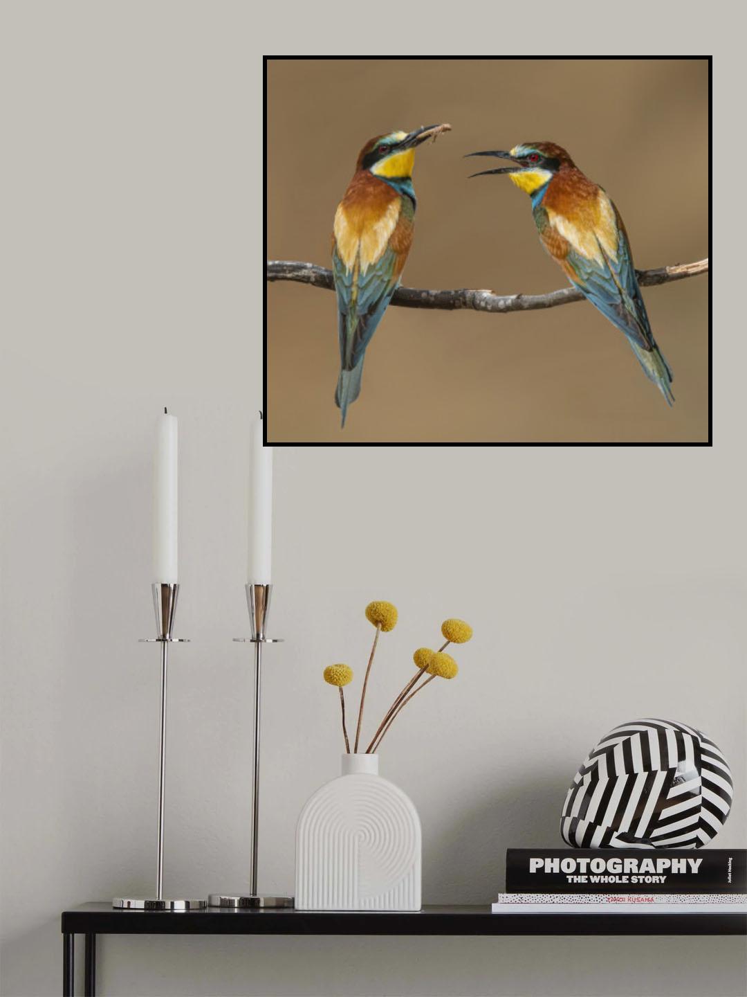 Bee-eaters Poster och Canvastavla