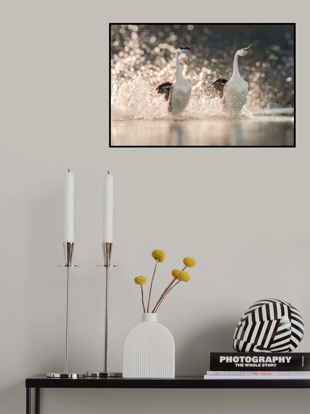 Dancing on the Water Poster och Canvastavla