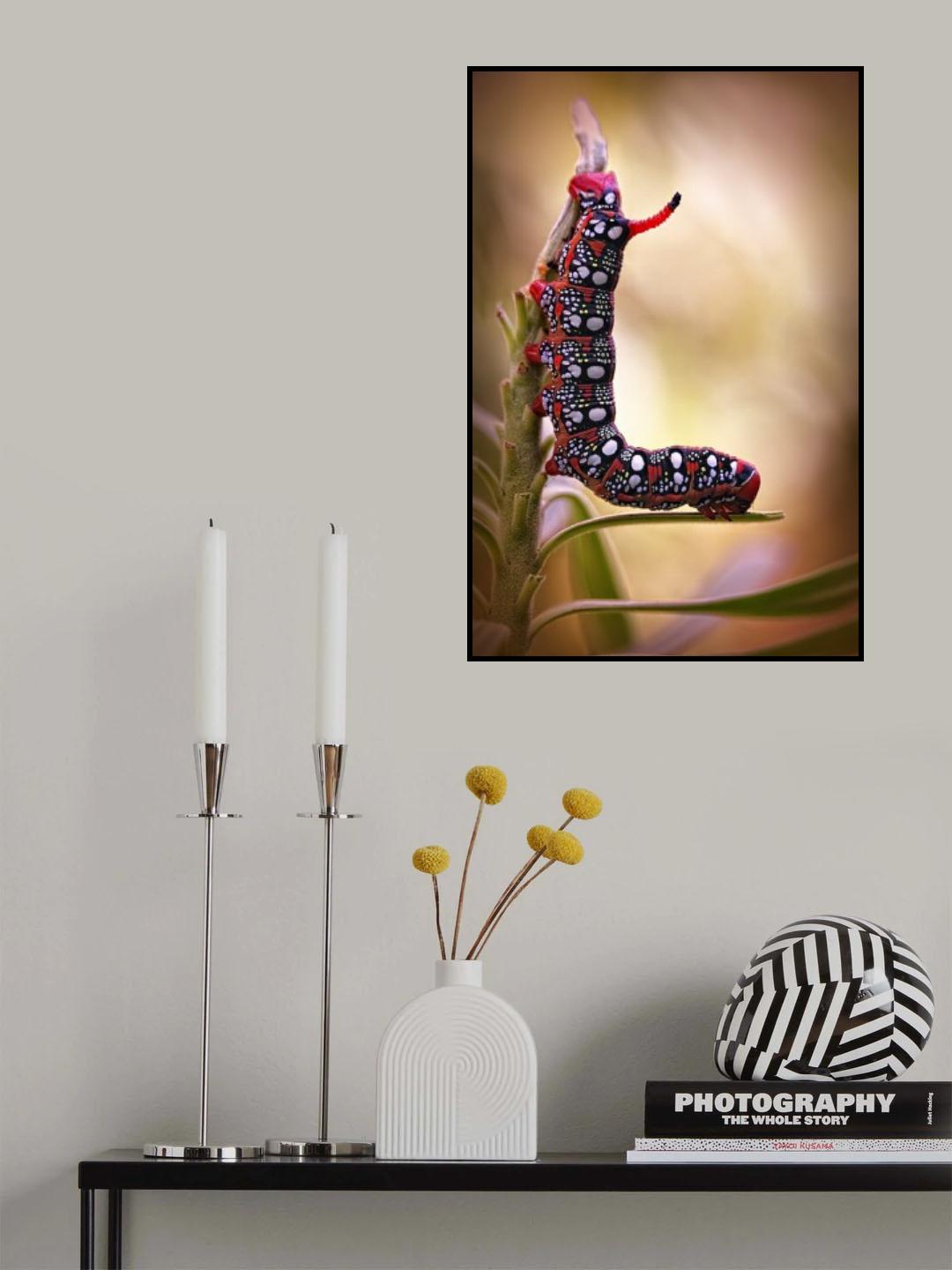 ´L´ Poster och Canvastavla