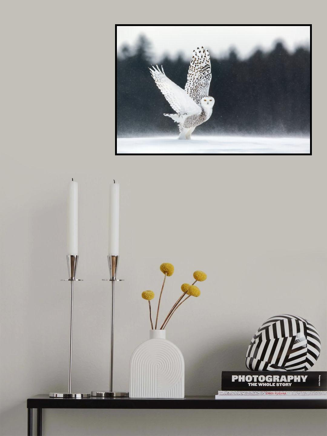 Take Off Poster och Canvastavla