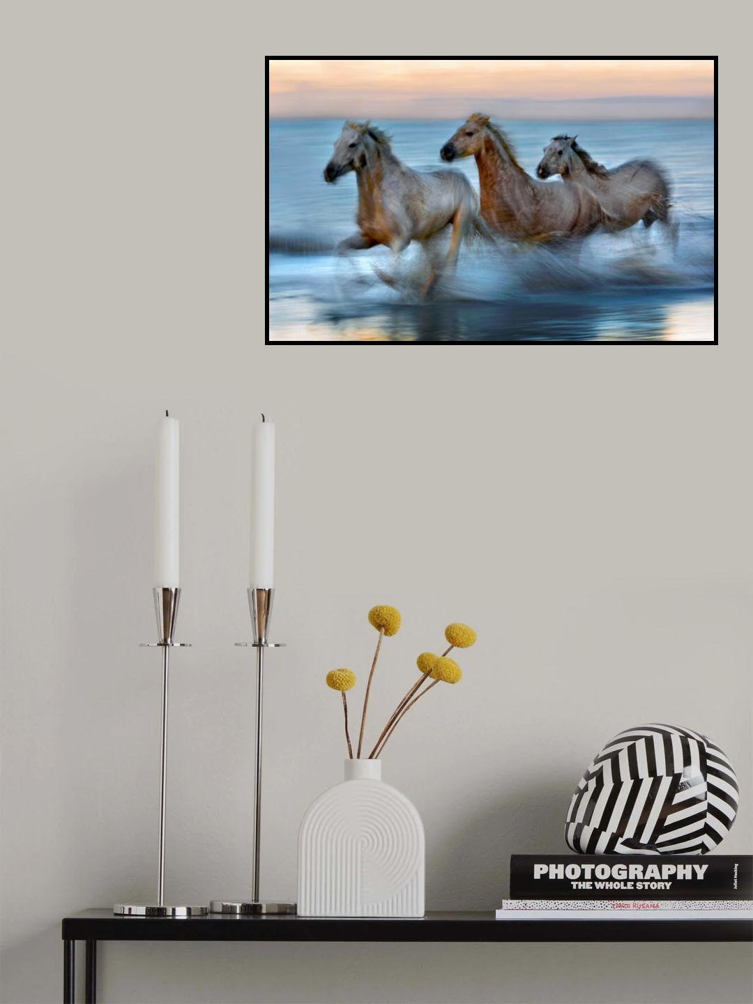 Slow motion horses Poster och Canvastavla