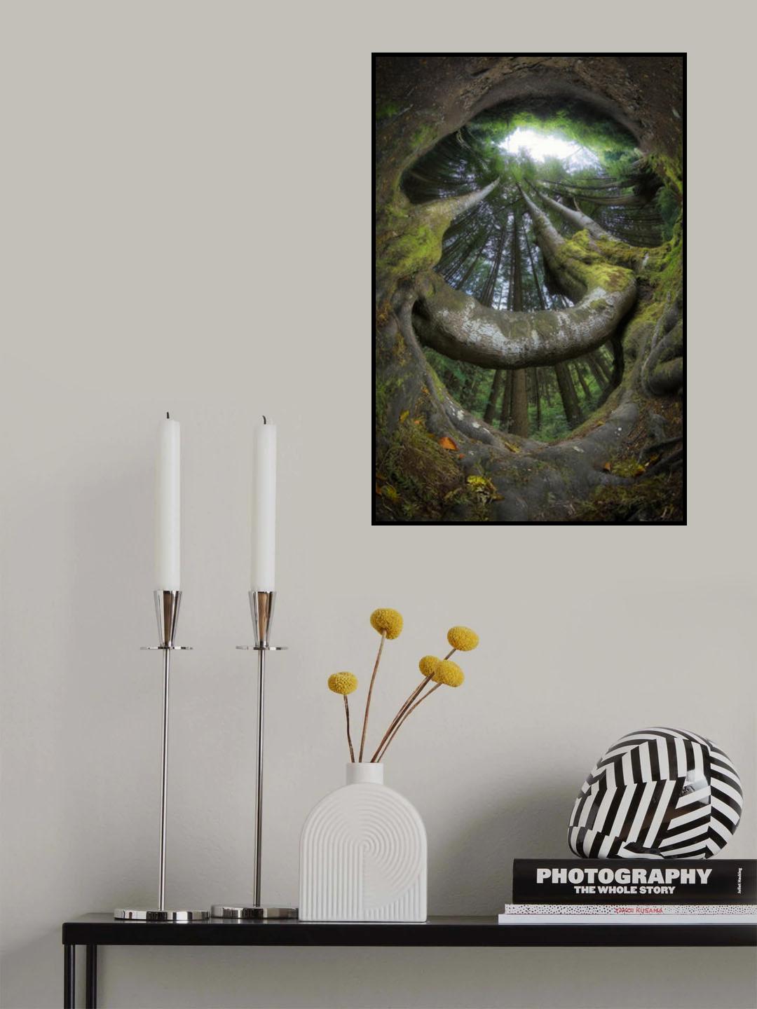 Welcoming forest Poster och Canvastavla