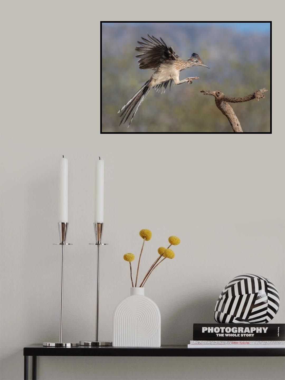 Beep beep Poster och Canvastavla
