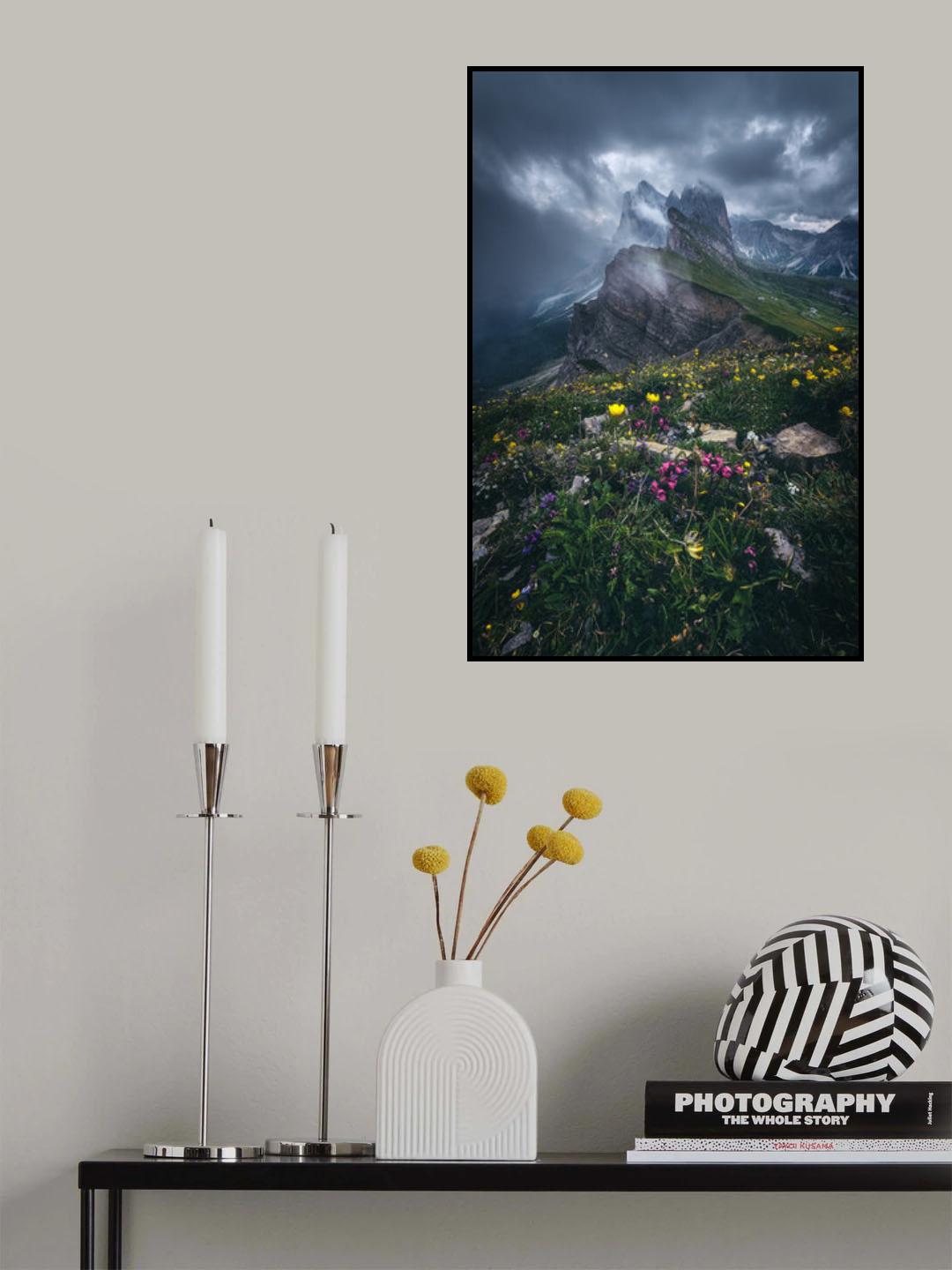 Dolomites - Seceda 2500 Poster och Canvastavla