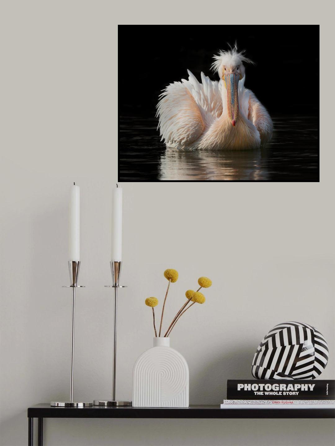 New Hair Style Poster och Canvastavla