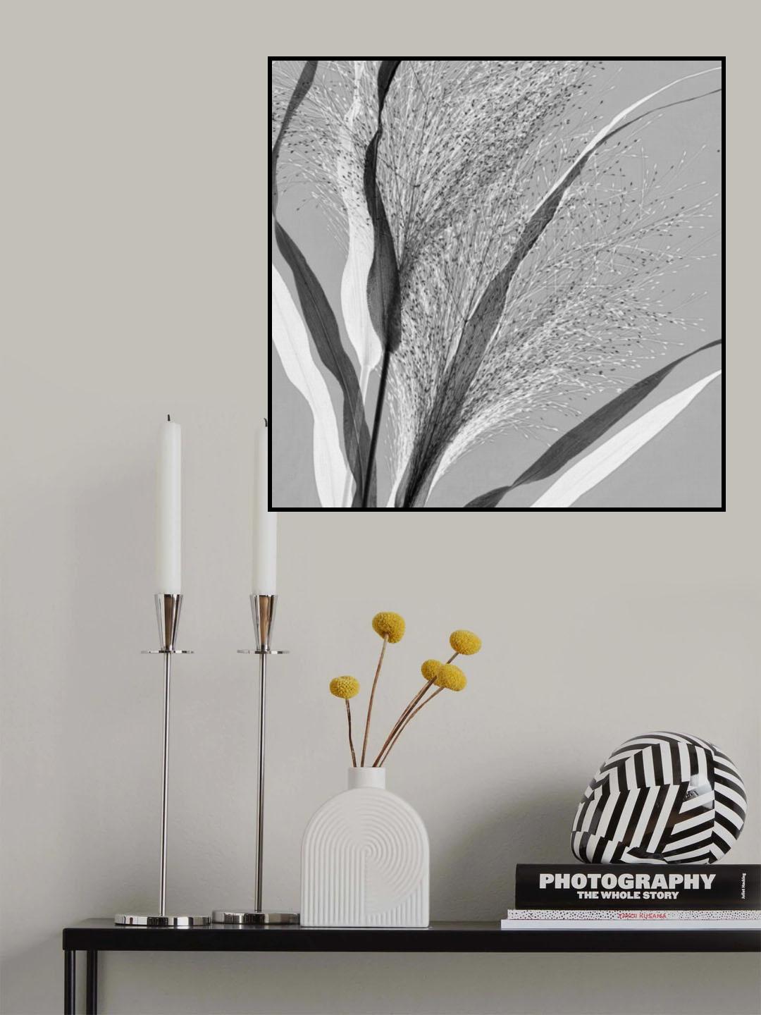 Simply grass Poster och Canvastavla