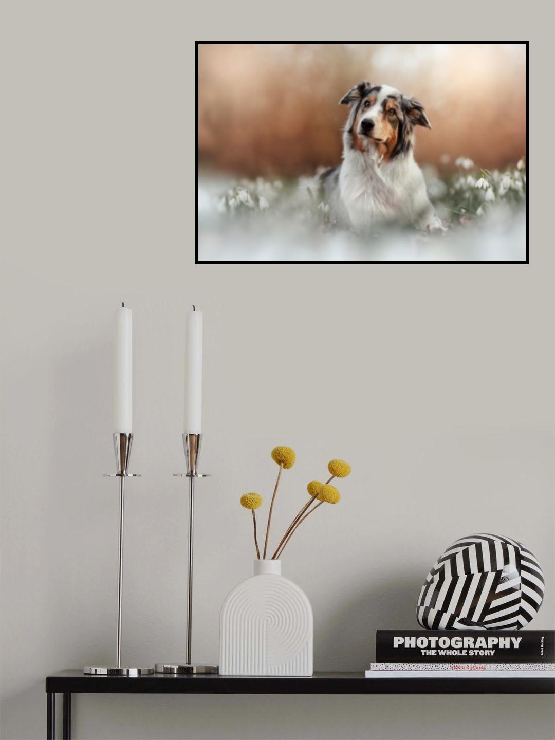 Lissy Poster och Canvastavla