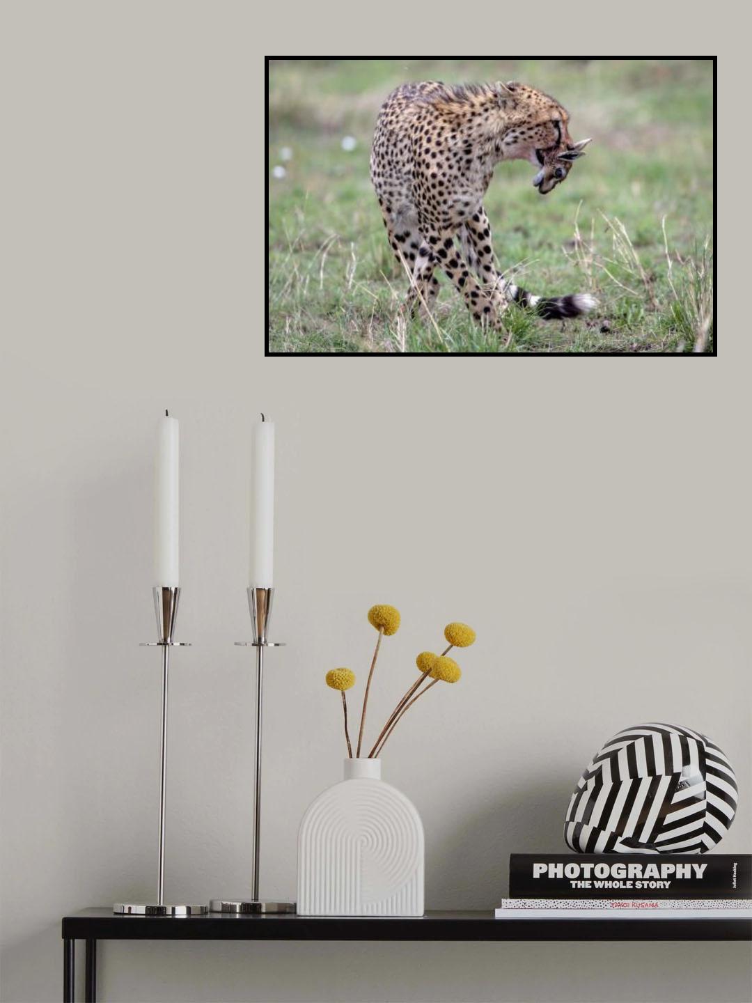 Double Head Poster och Canvastavla