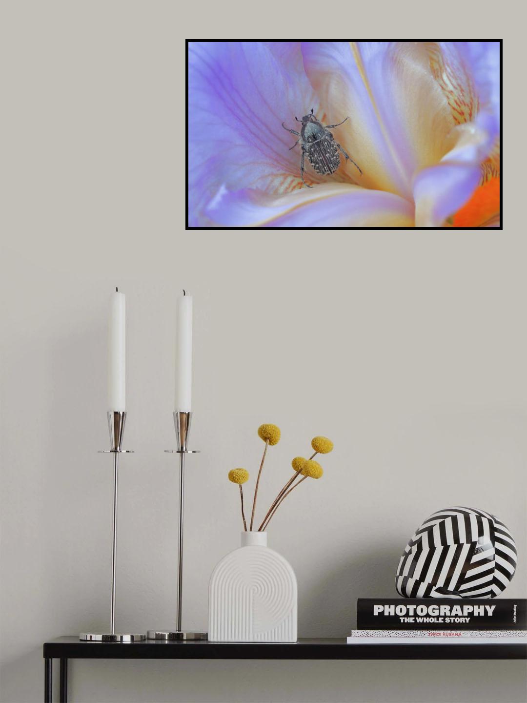 Stay at home... Poster och Canvastavla