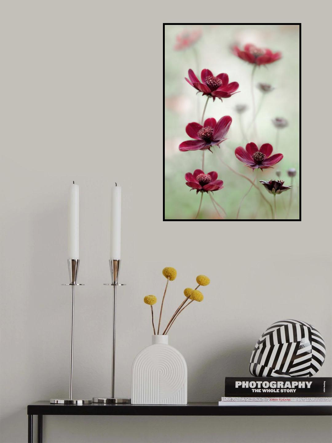 Cosmos sway Poster och Canvastavla