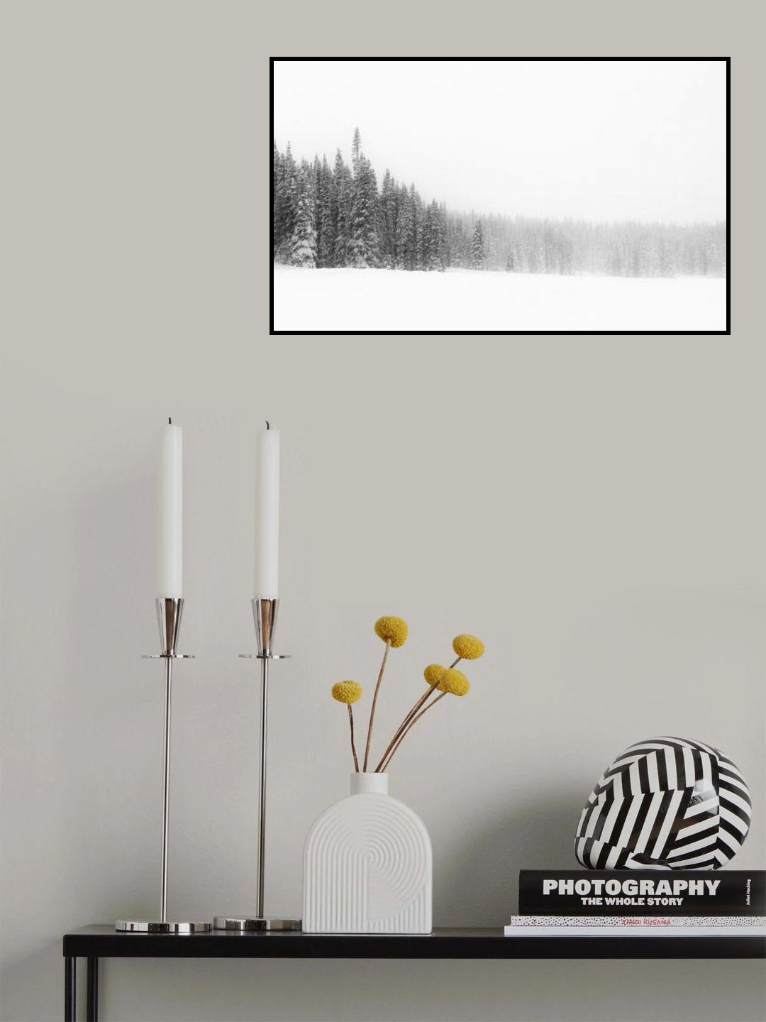 Forest for the Trees Poster och Canvastavla