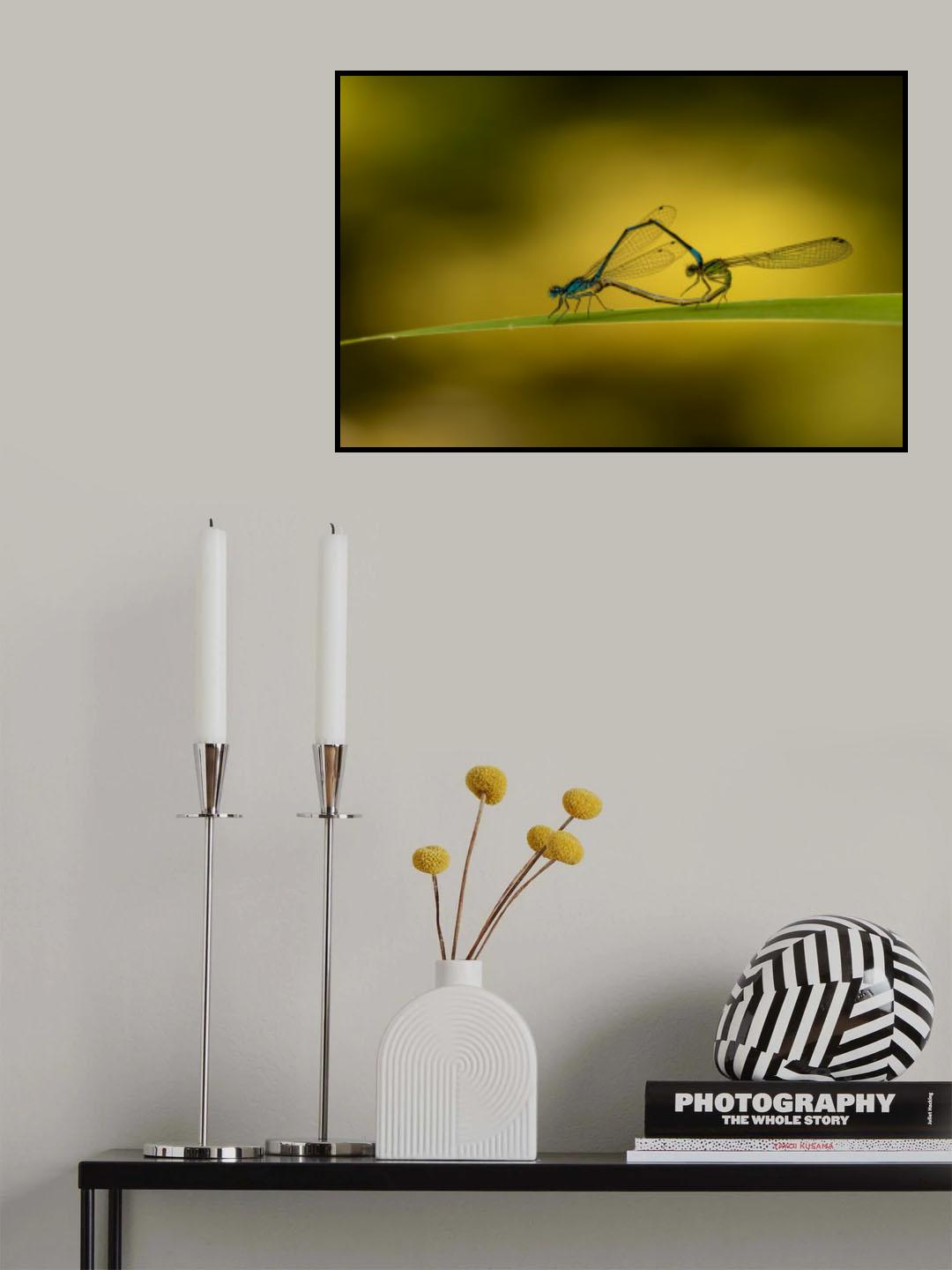 Damselfly lovers Poster och Canvastavla