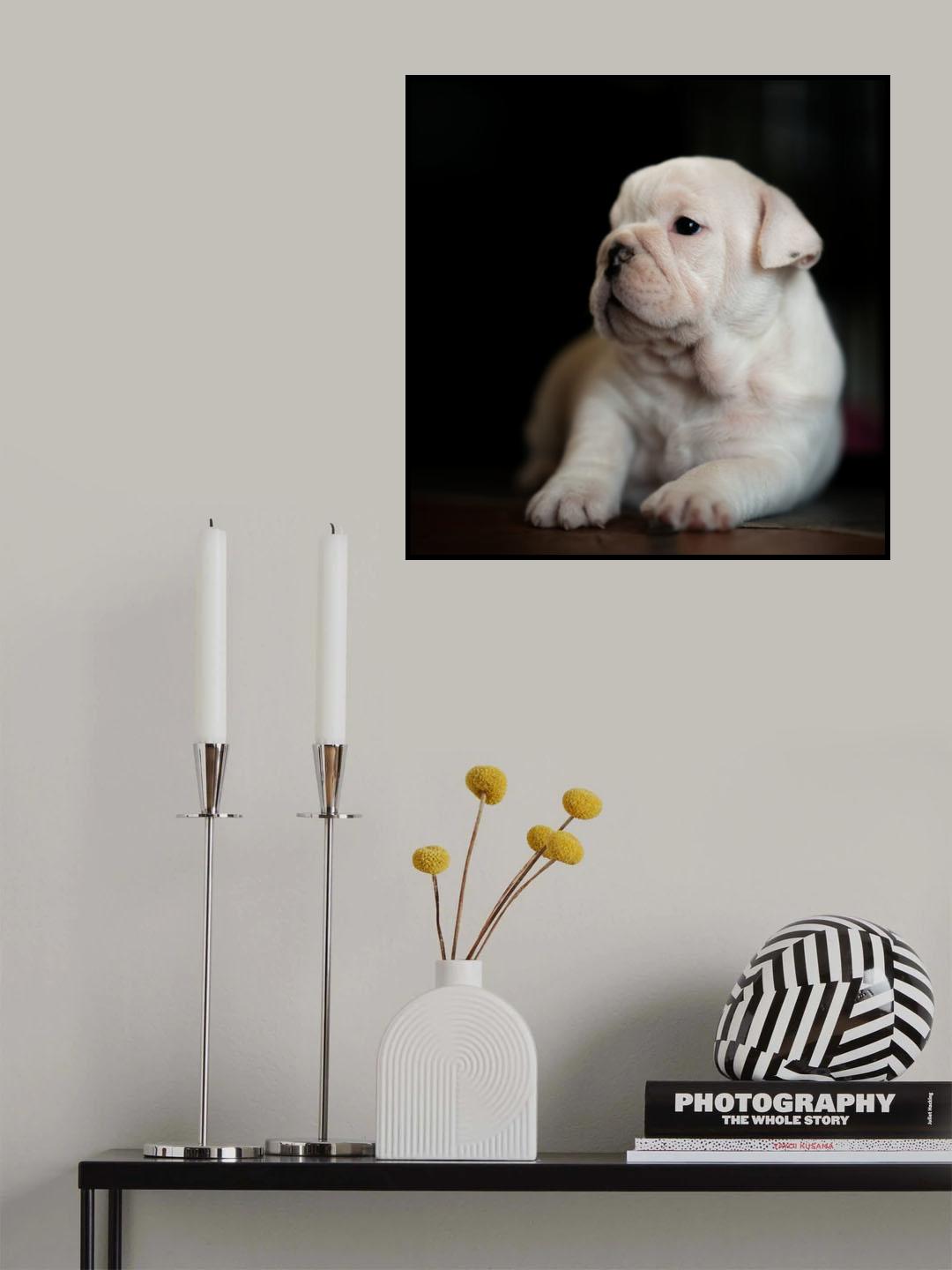 Bep Poster och Canvastavla