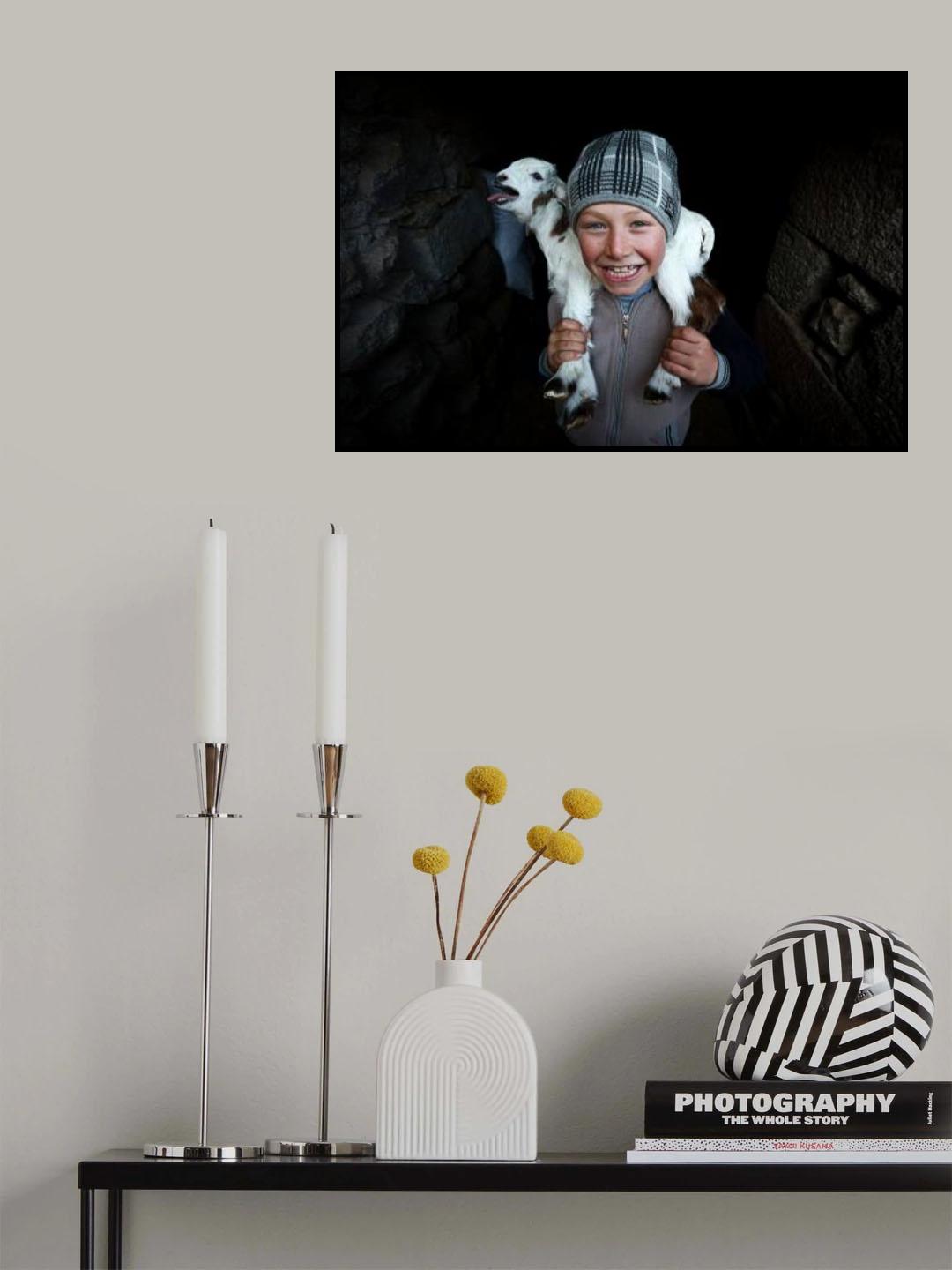 ... ::: Kuzular ::: ... Poster och Canvastavla
