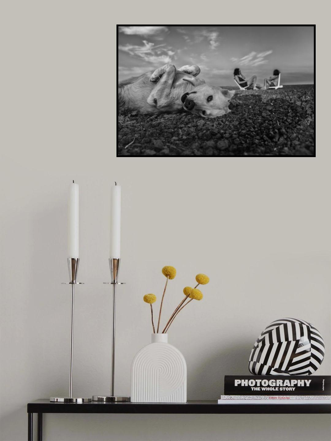 Waiting Patiently Poster och Canvastavla