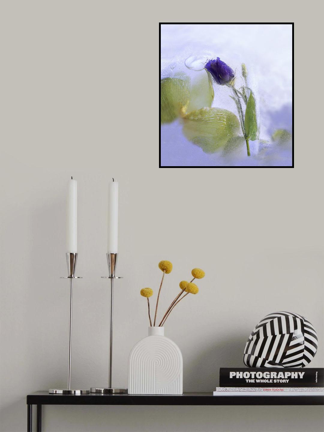 Ice Beauty Poster och Canvastavla