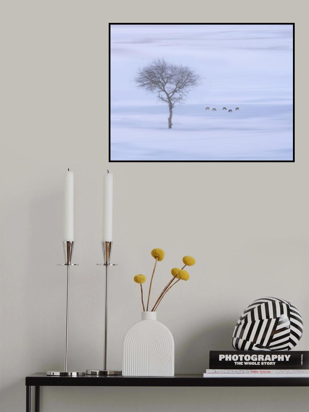 冬天 Poster och Canvastavla