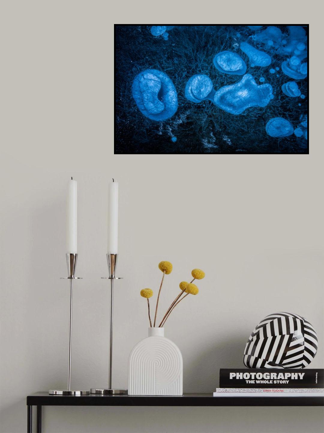 Frozen Methane Bubbles Poster och Canvastavla
