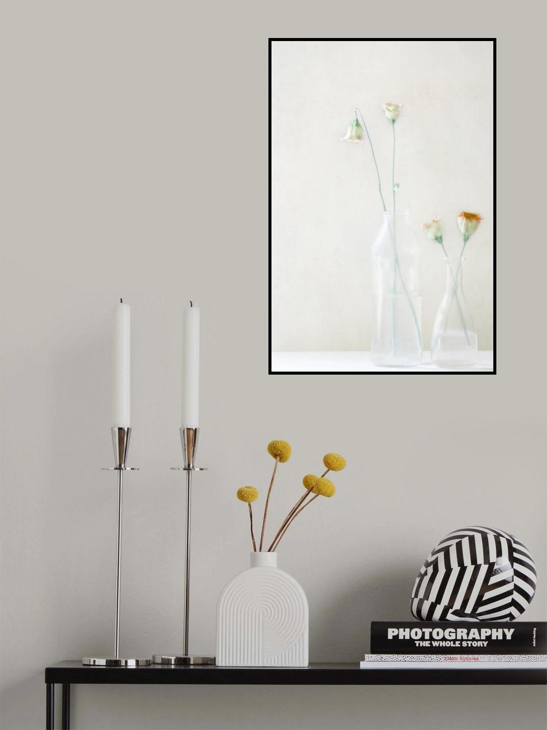 Simplicity and Elegance Poster och Canvastavla