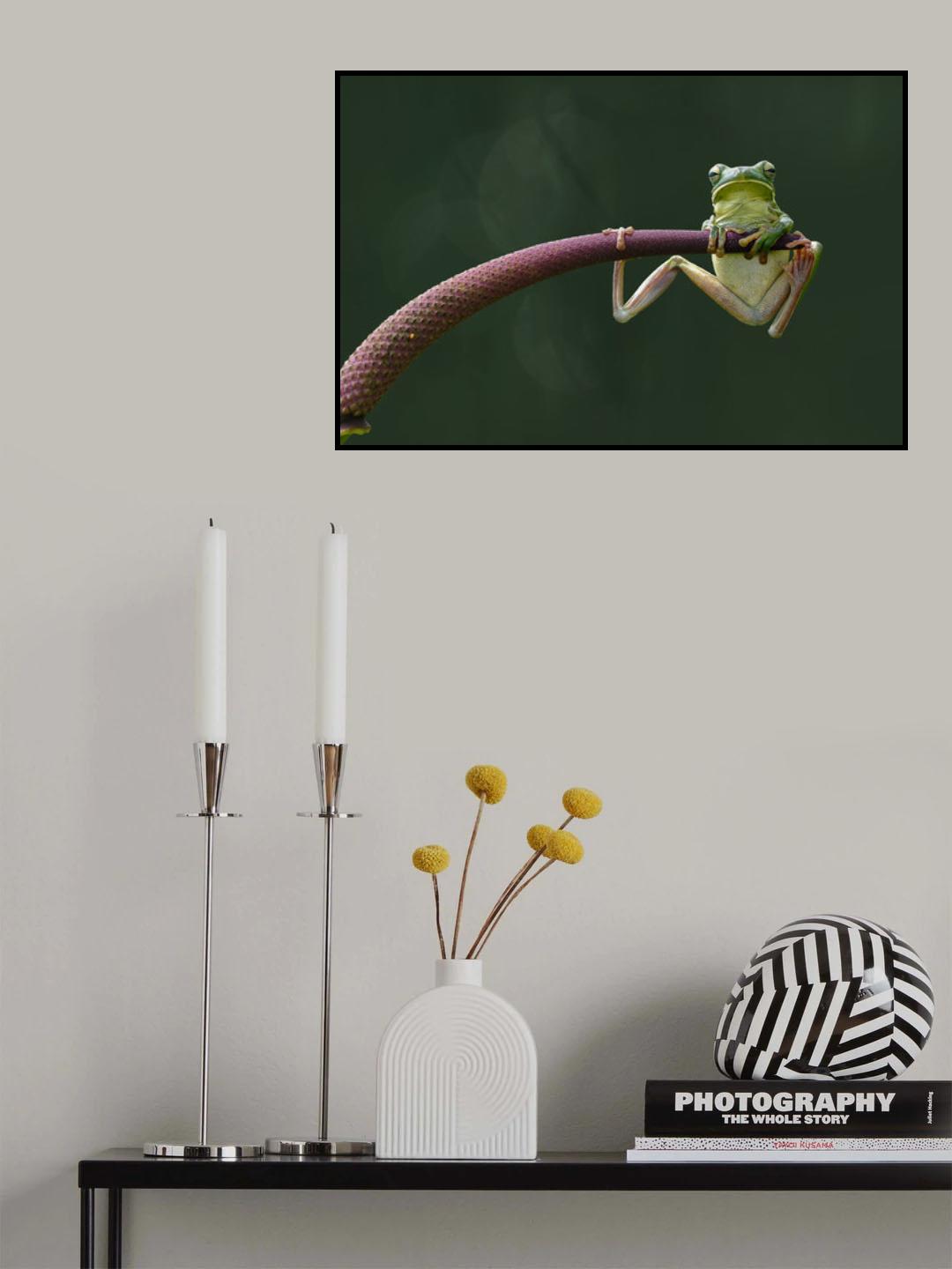 Relax Poster och Canvastavla