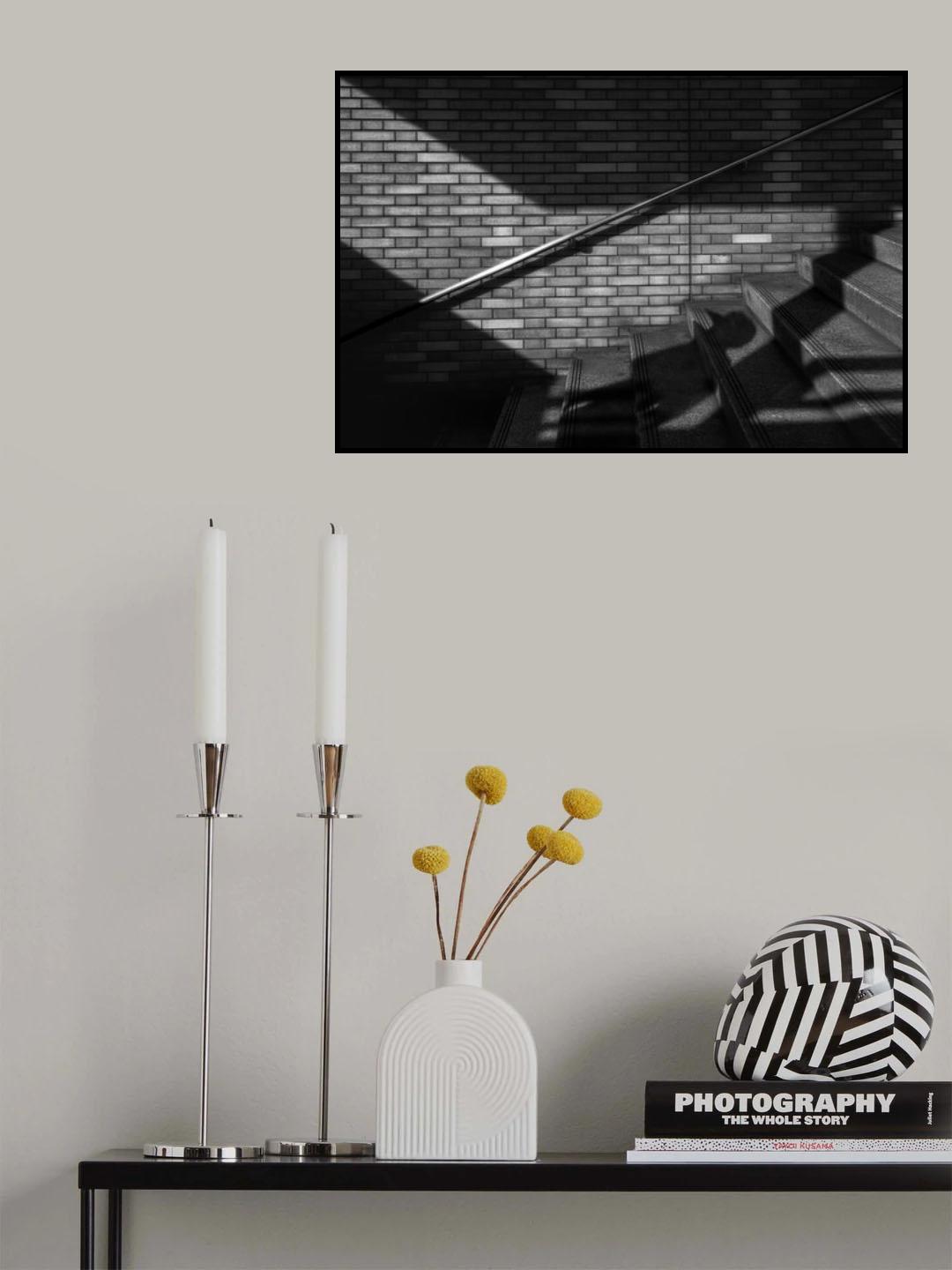 Birdman on step Poster och Canvastavla