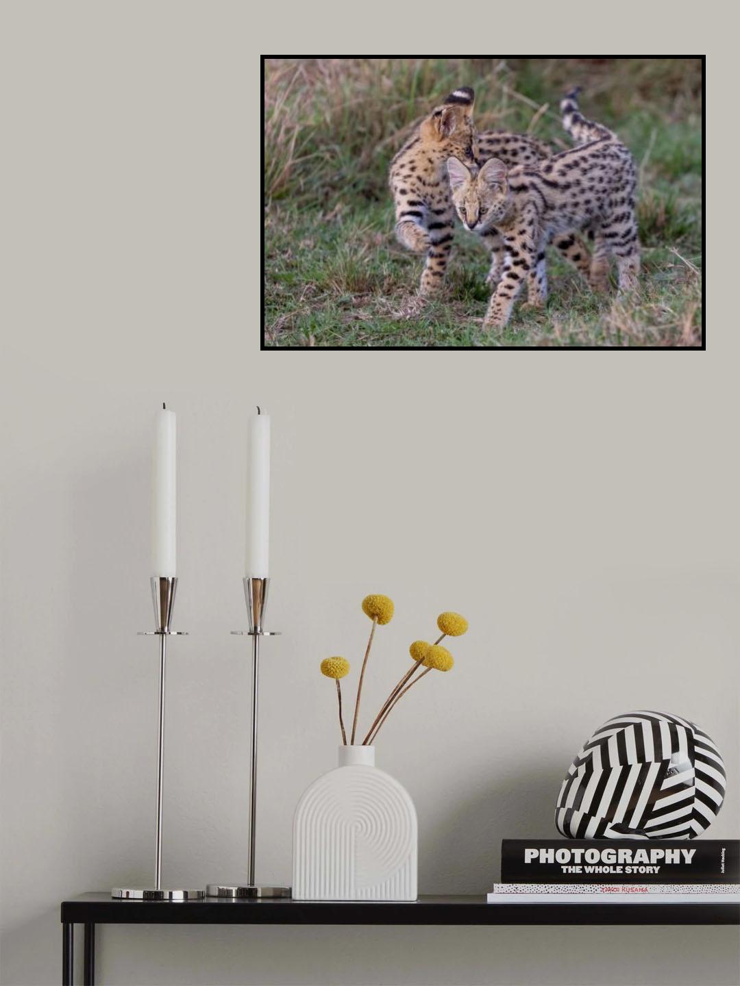 Brothers Poster och Canvastavla