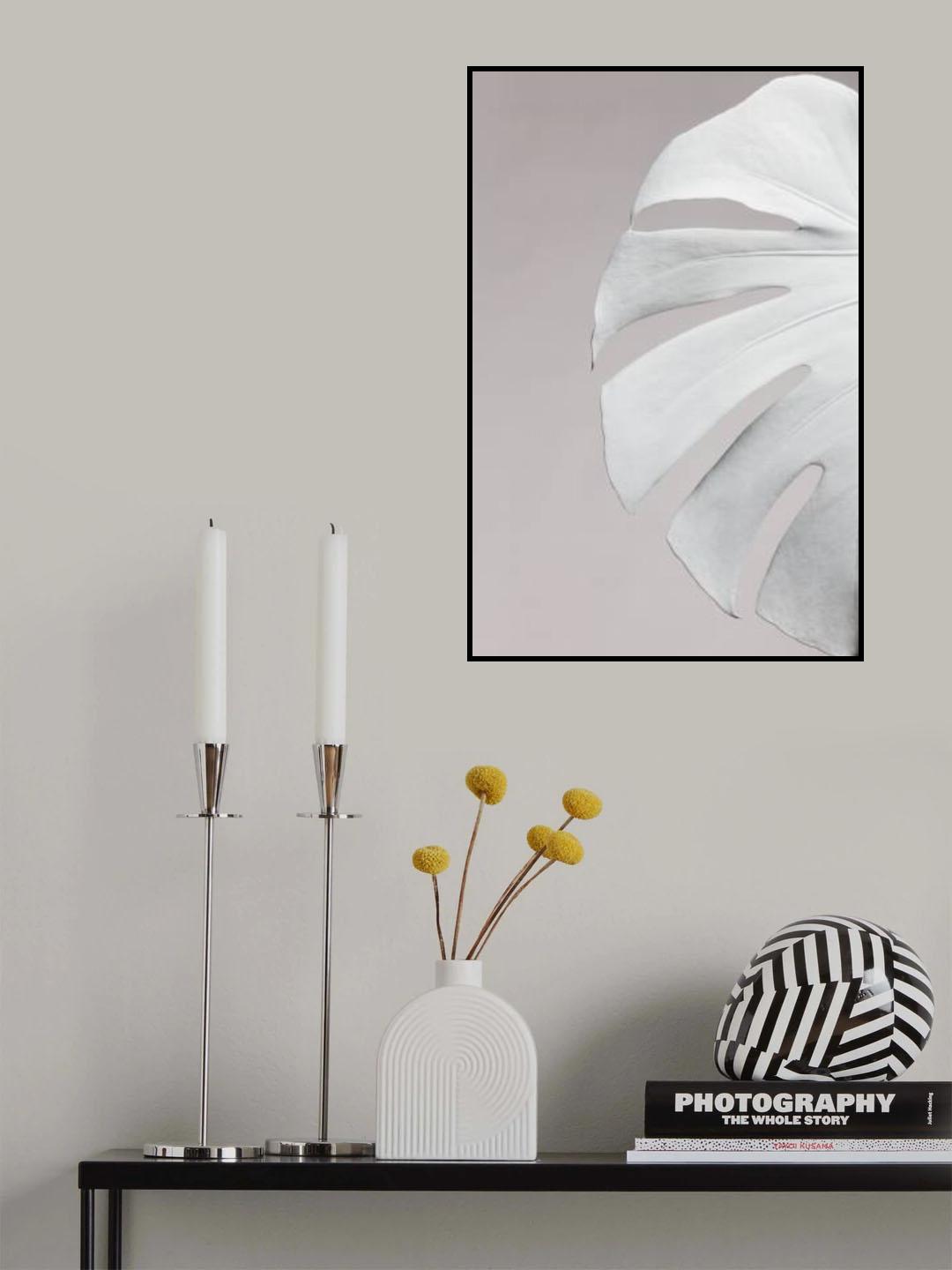 Monstera White 05 Poster och Canvastavla