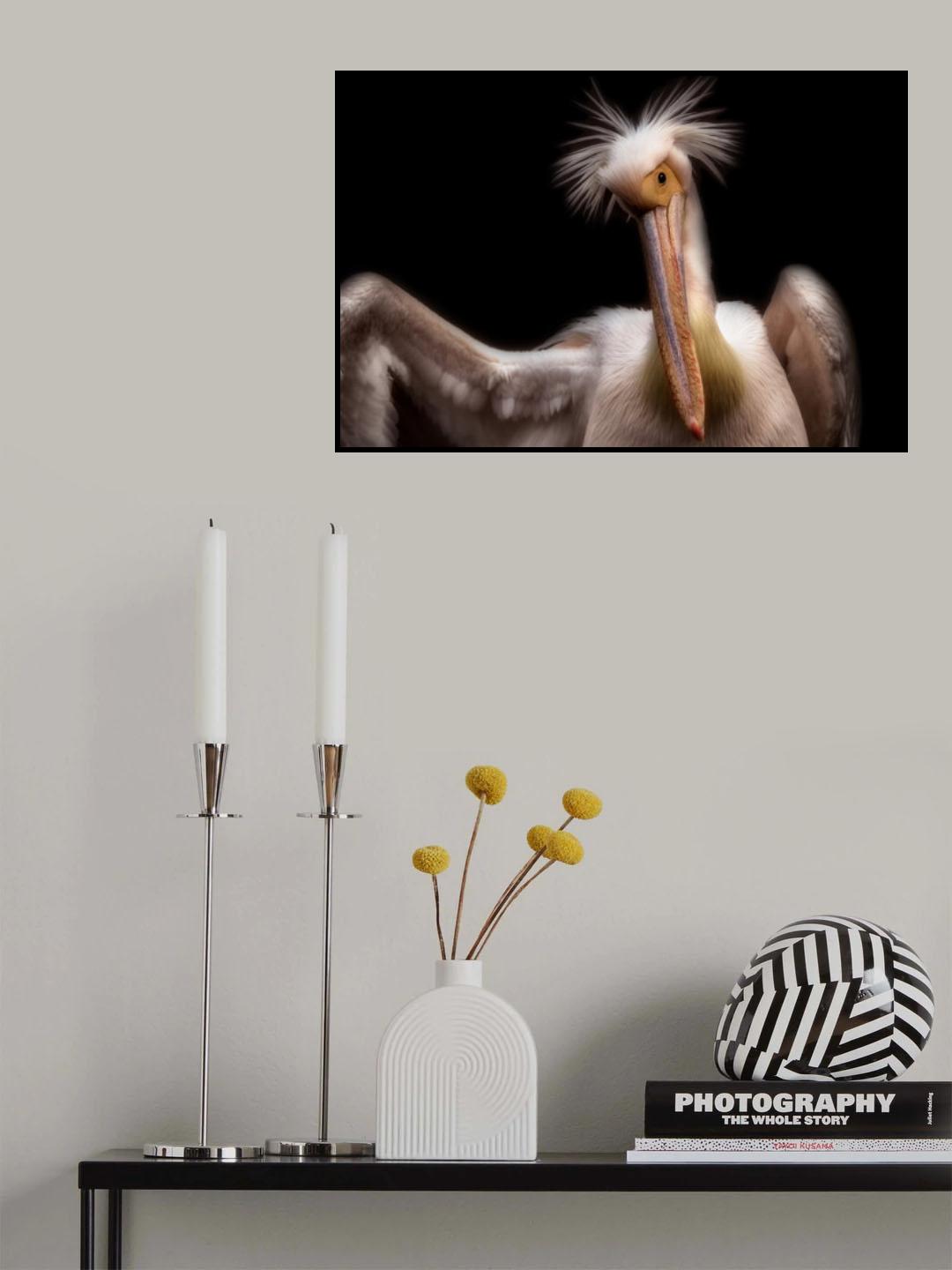 Pelican's portrait Poster och Canvastavla