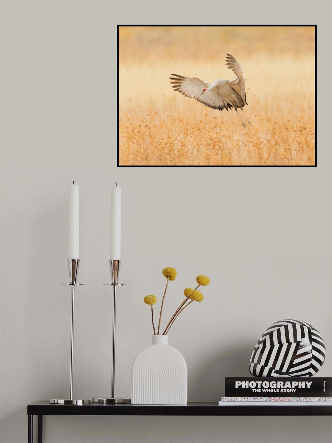 Poster och Canvastavla