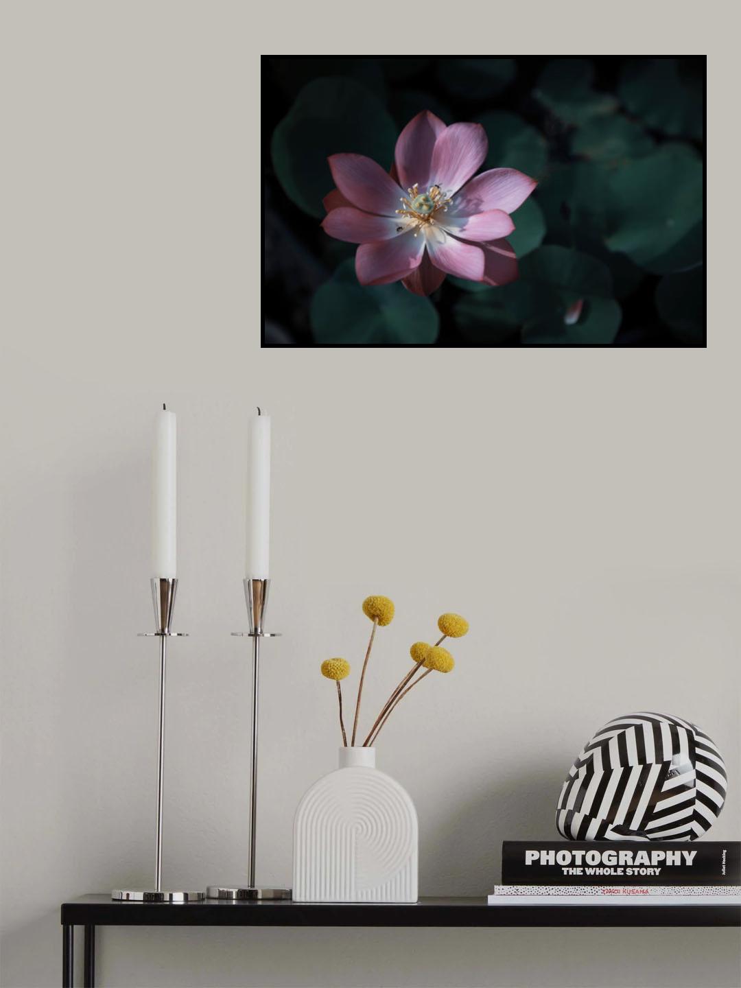 Cool in the Summer Poster och Canvastavla
