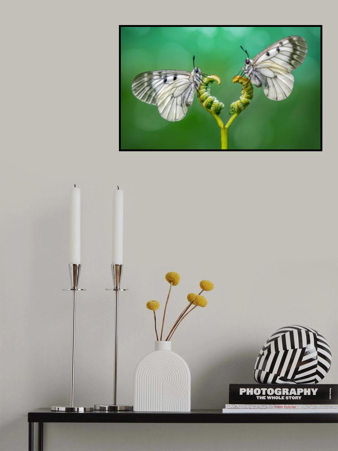 LOVE Poster och Canvastavla