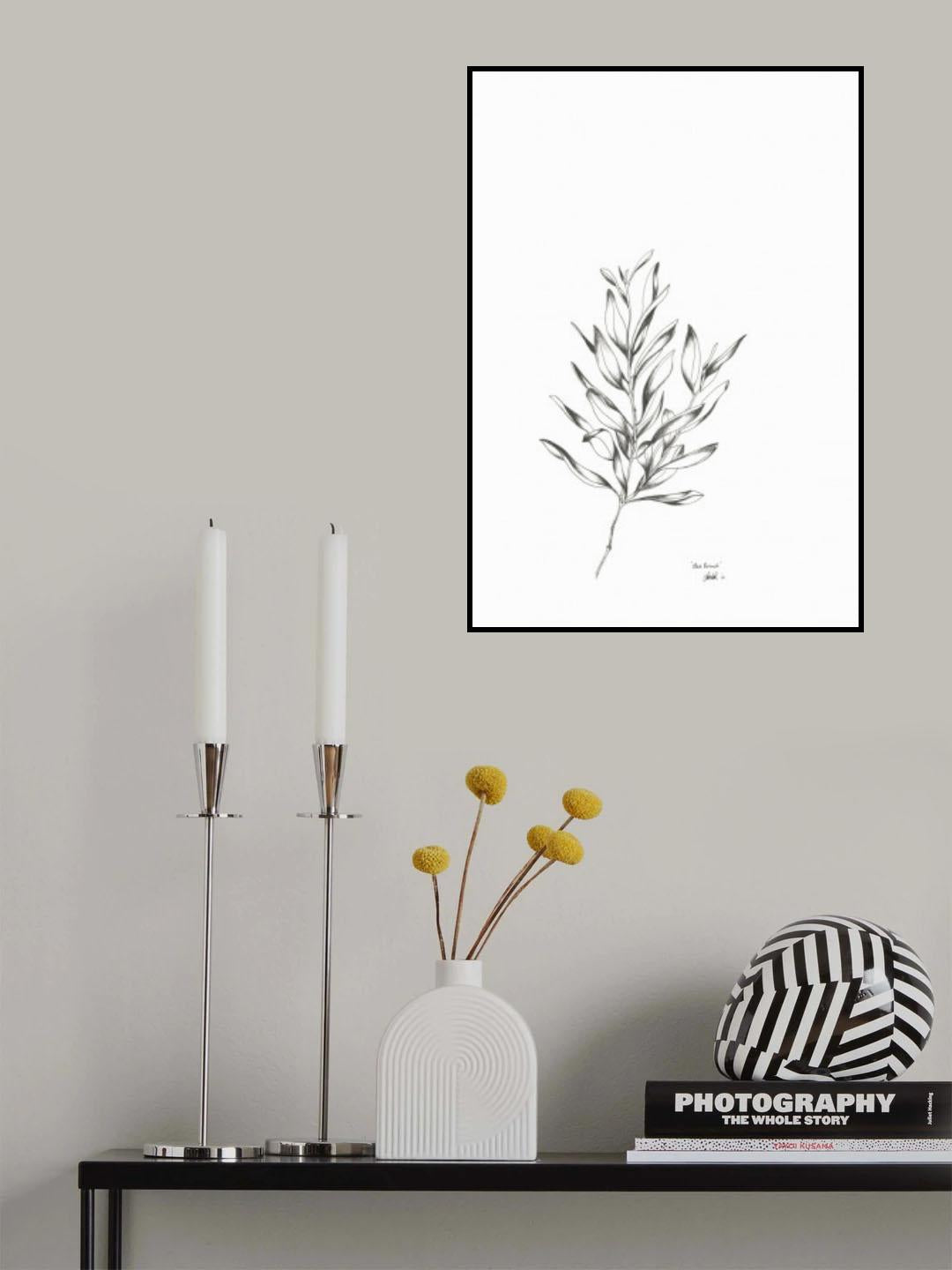 Olea Poster och Canvastavla