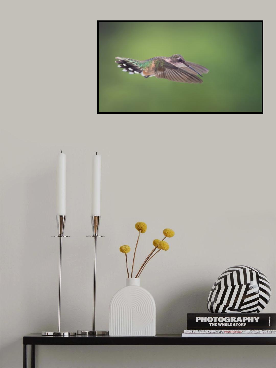 Skydive Poster och Canvastavla