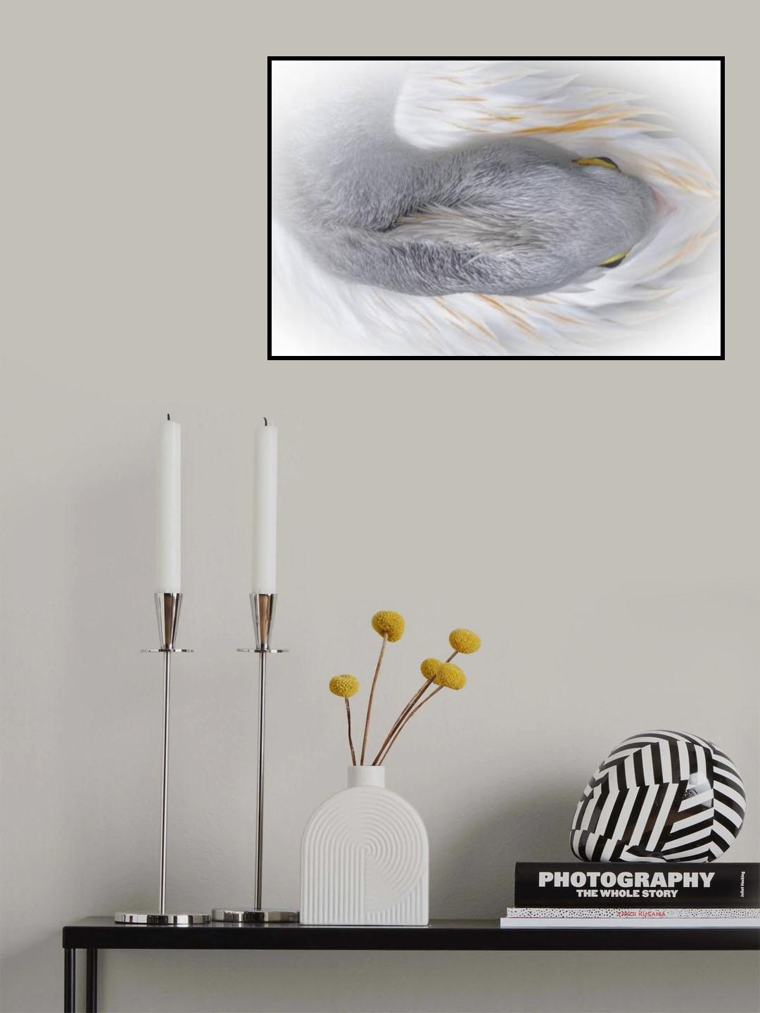 White Goose Poster och Canvastavla