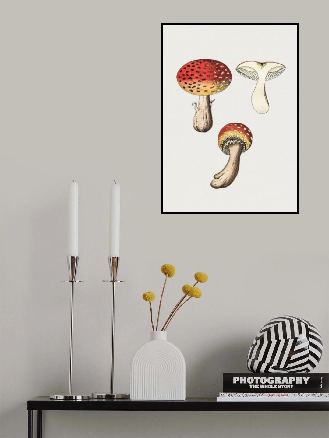 Hand Drawn Fly Agaric Mushroom Poster och Canvastavla