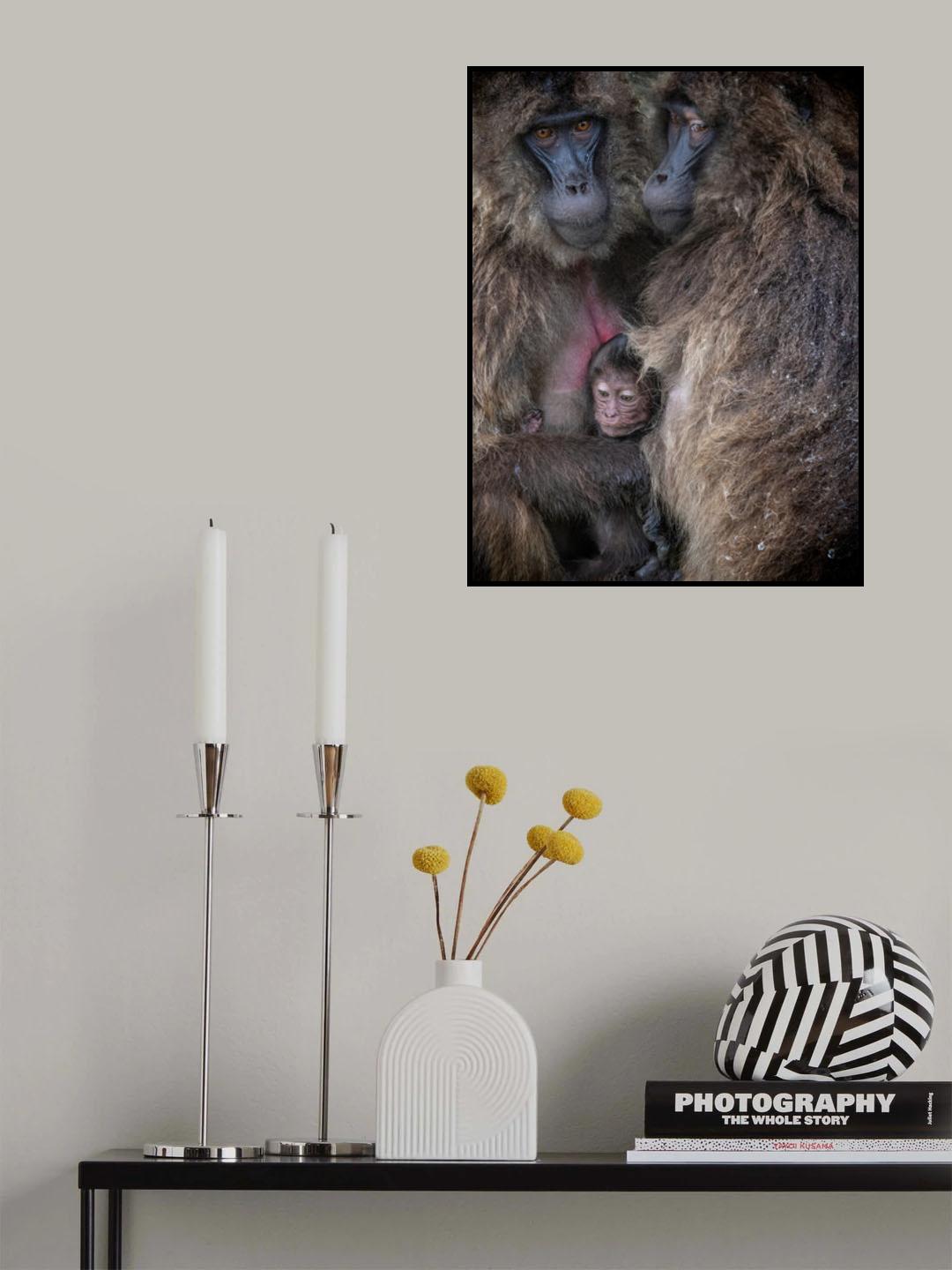 Protection Poster och Canvastavla