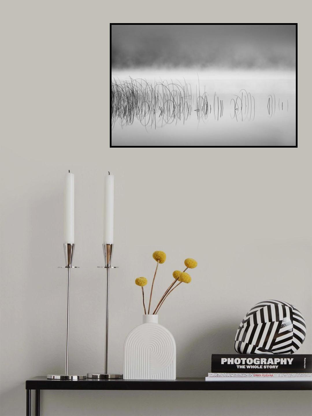 Reed in fog Poster och Canvastavla