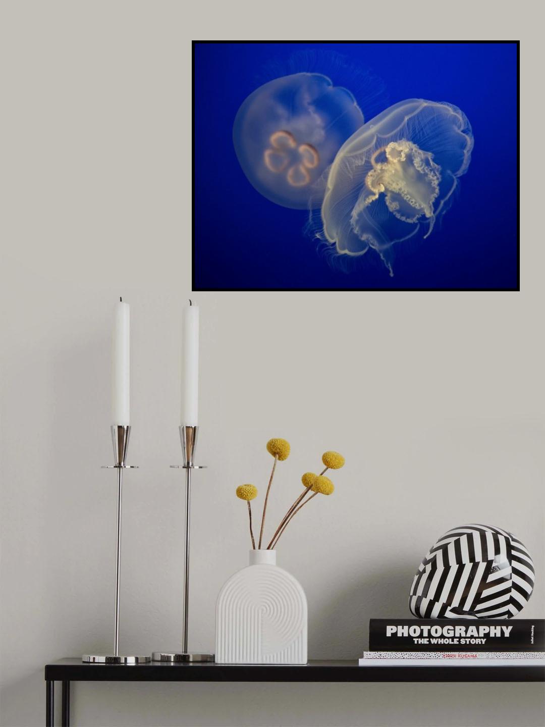 Moon Jelly Poster och Canvastavla
