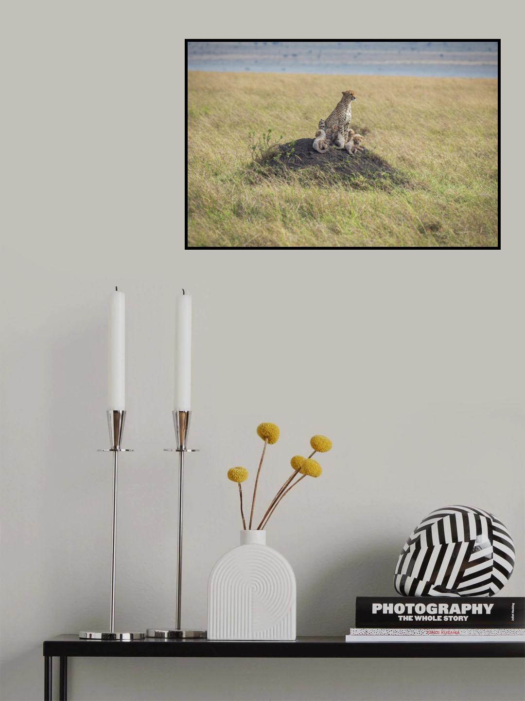 Fragility on the Serengeti Poster och Canvastavla